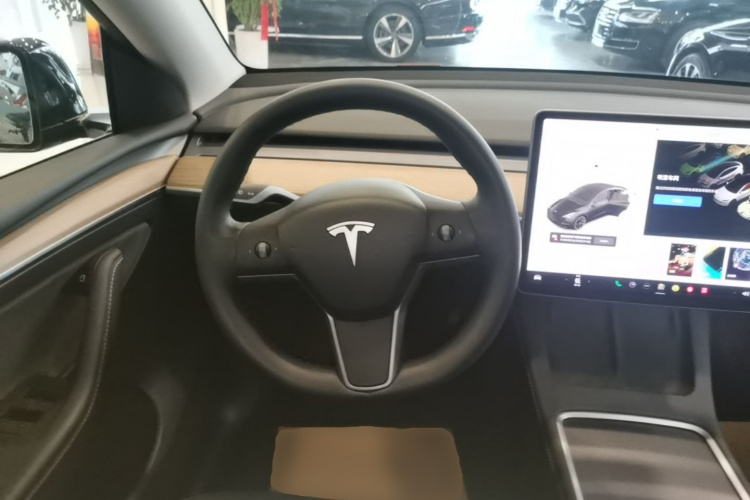 Tesla Model Y 2021 car image #11