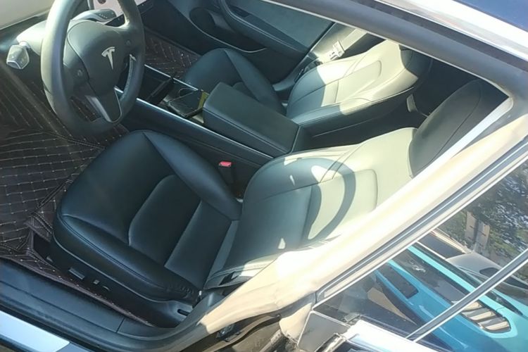 Tesla Model 3 2020 immagine di auto #15