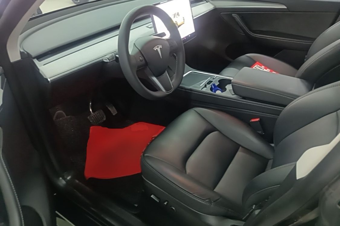 Tesla Model Y 2024 car image #12