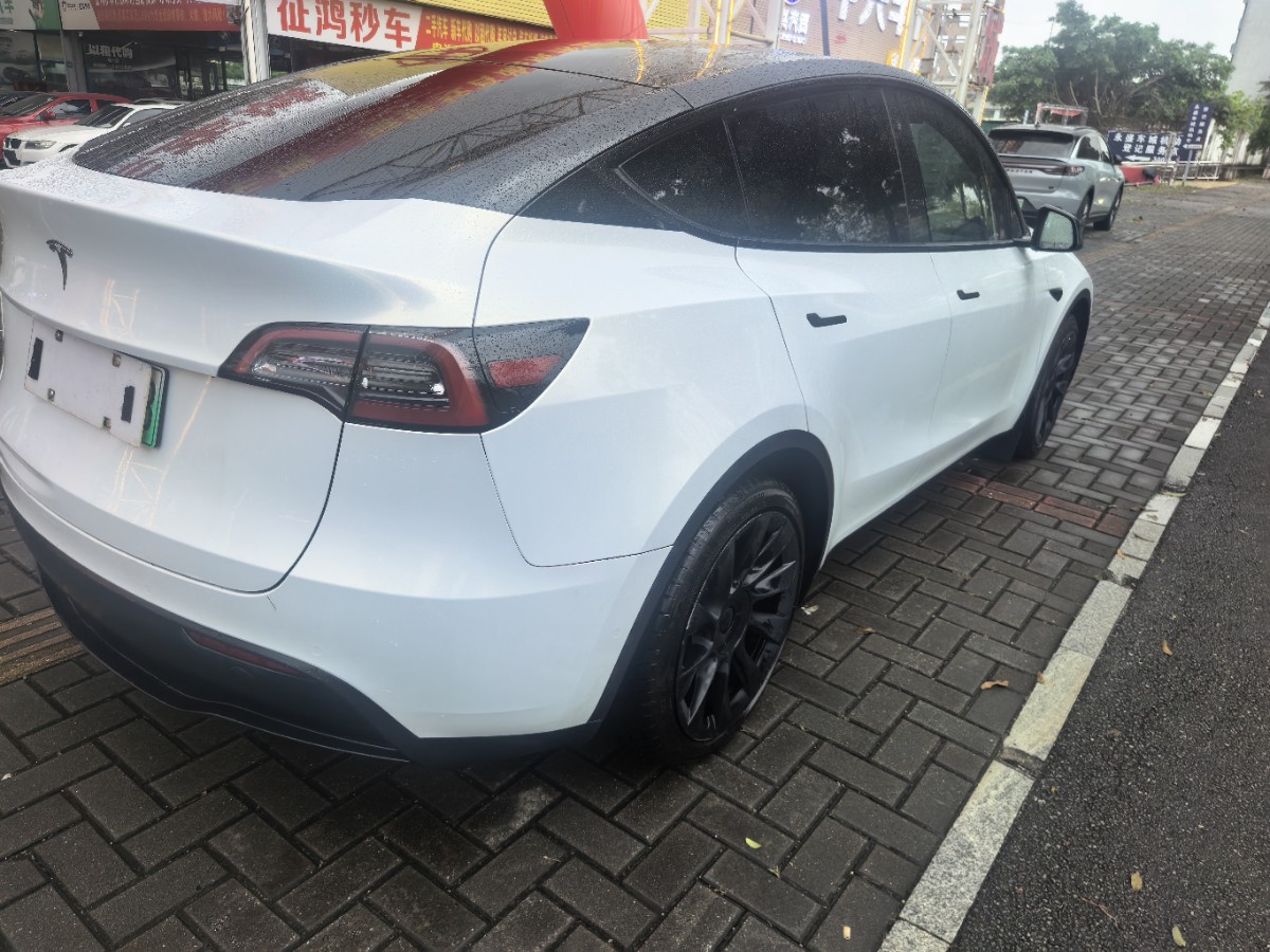 Tesla Model Y 2021 car image #8