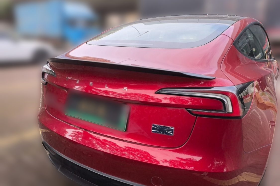 Tesla Model 3 2024 immagine di auto #6