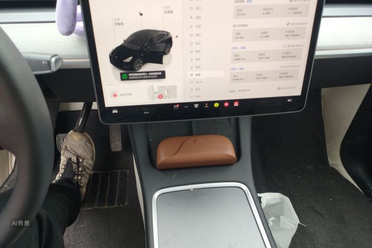Tesla Model Y 2024 car image #15