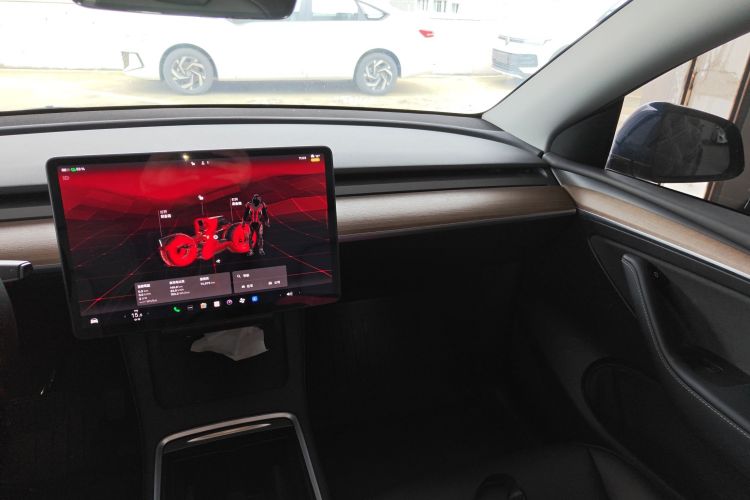 Tesla Model Y 2022 #17 Tesla Model Y 2022 car image #17