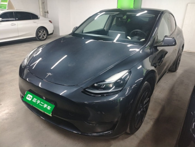 Tesla Model Y 2024 Tesla Model Y 2024 car image