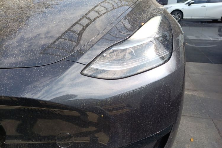 特斯拉 Model Y 2024 汽车图片 #26