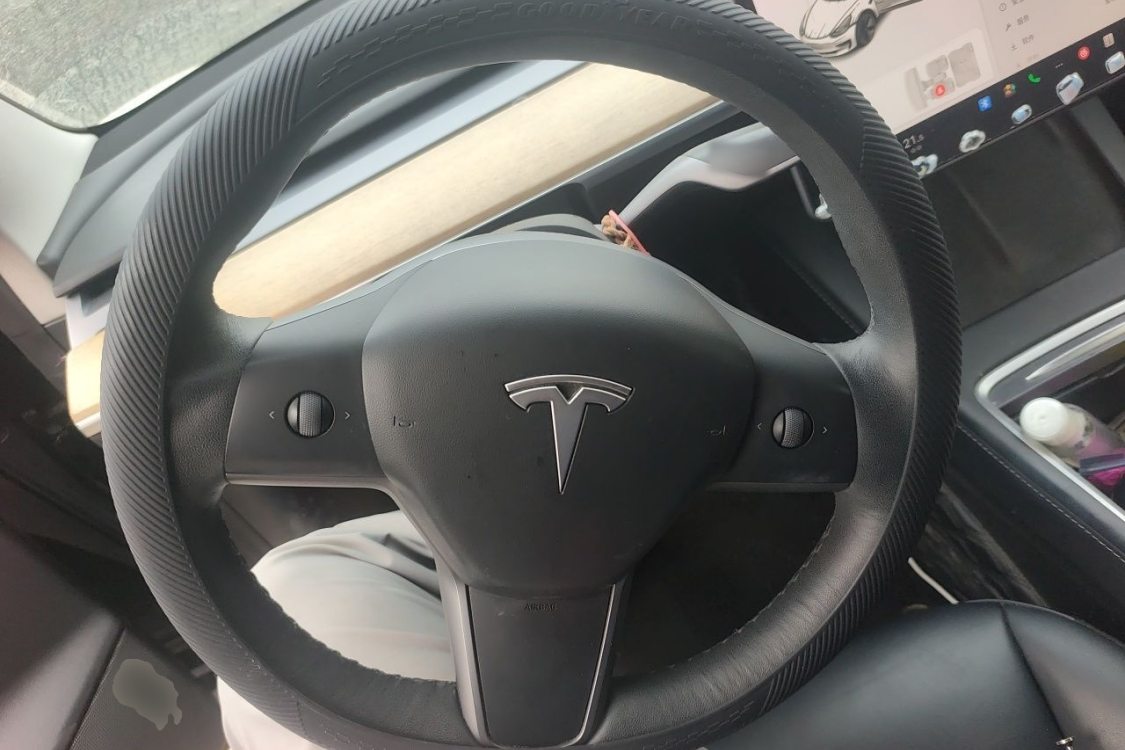Tesla Model 3 2021 car image #22