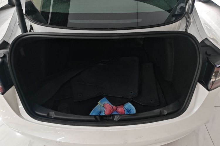 Tesla Model 3 2021 #19 Tesla Model 3 2021 car image #19