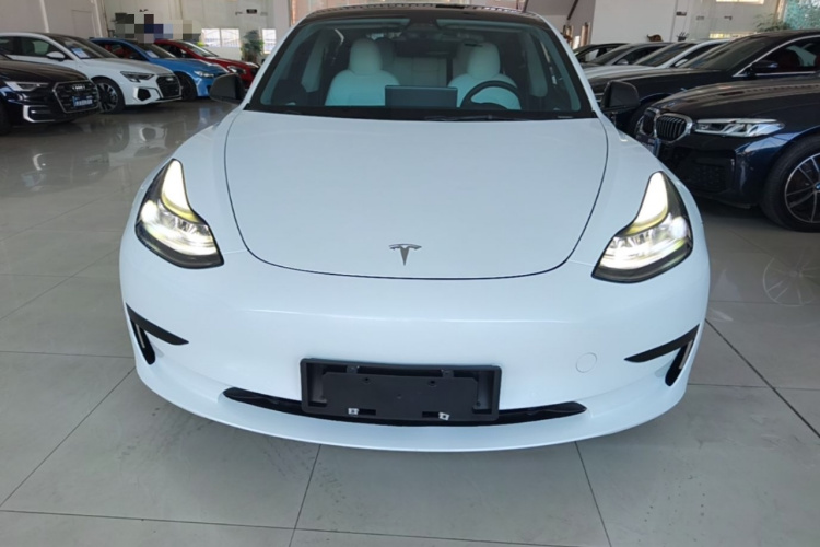Tesla Model 3 2021 #3 Tesla Model 3 2021 car image #3