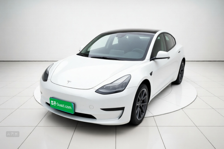 Tesla Model 3 2023 #2 Tesla Model 3 2023 car image #2