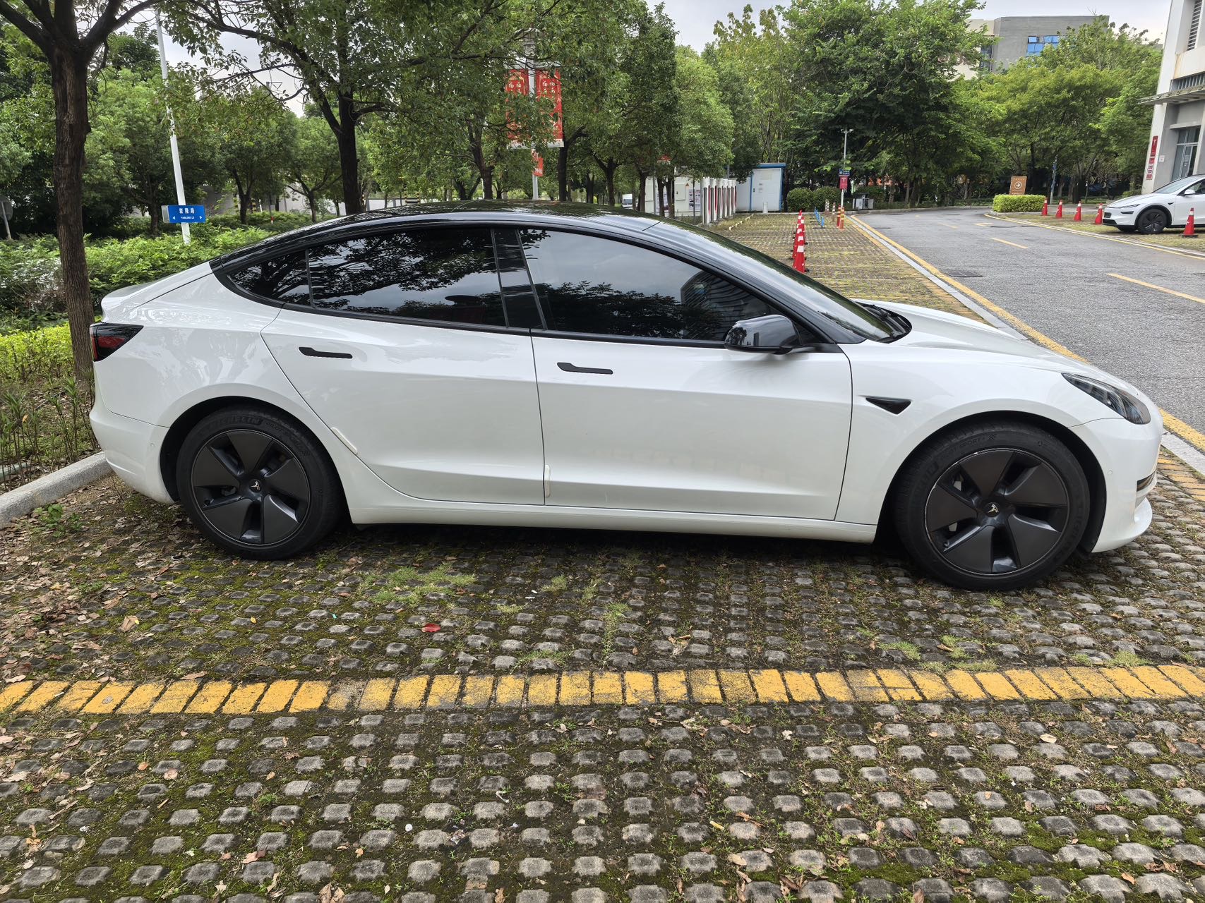 Tesla Model 3 2023 #5 Tesla Model 3 2023 car image #5