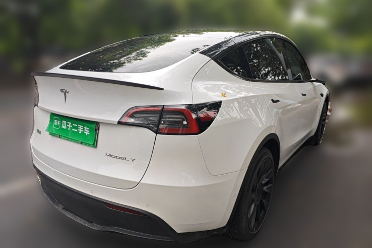 Tesla Model Y 2024 #5 Tesla Model Y 2024 car image #5