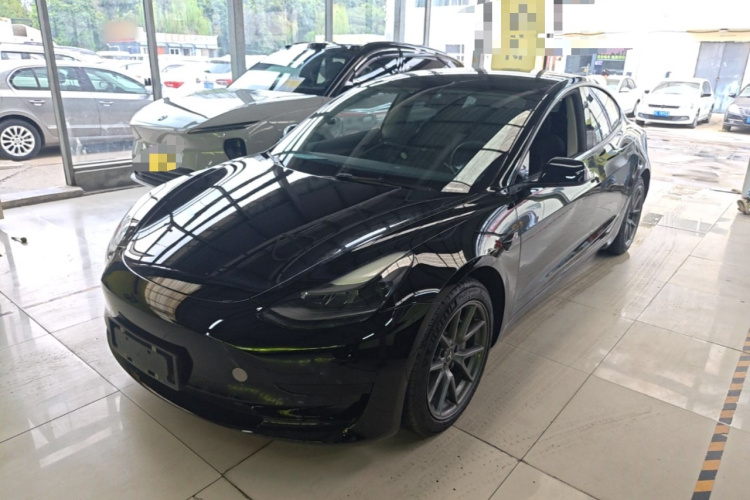 Tesla Model 3 2021 #2 Tesla Model 3 2021 car image #2