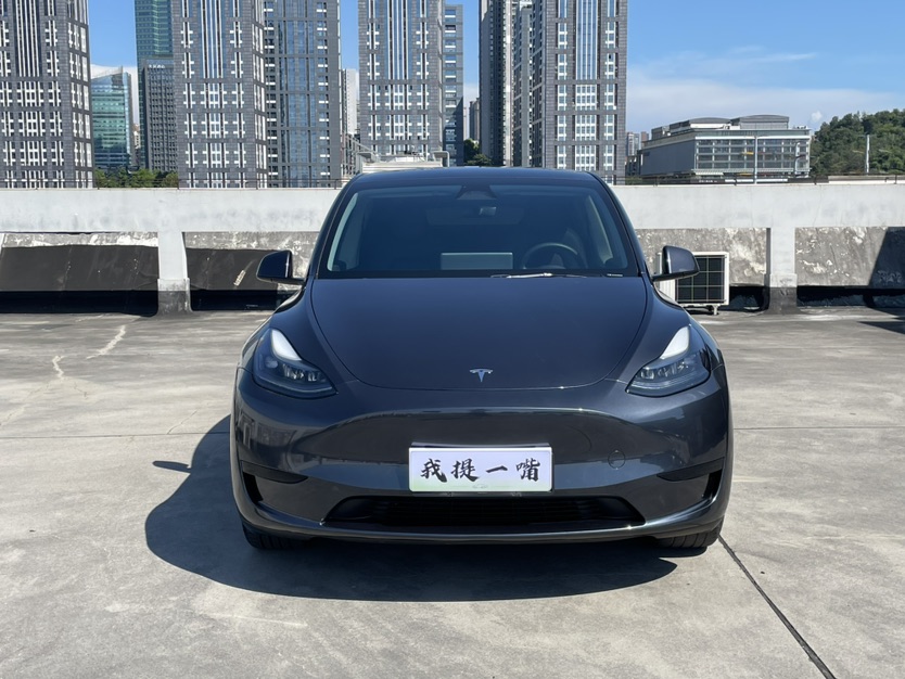 Tesla Model Y 2024 car image #2