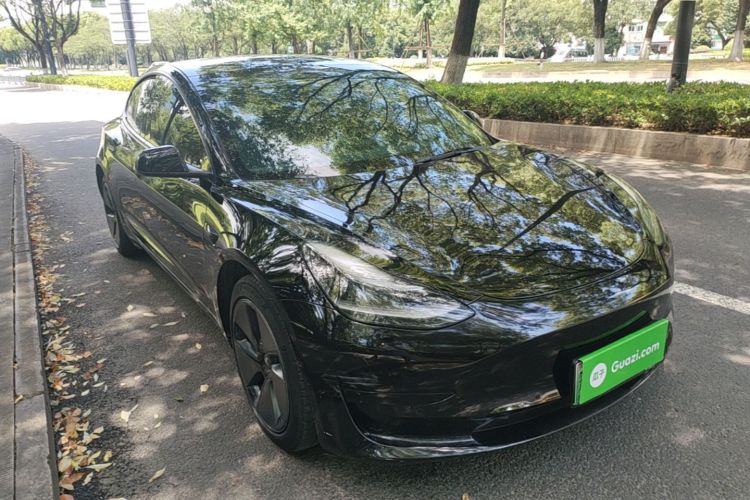 Tesla Model 3 2023 #4 Tesla Model 3 2023 car image #4