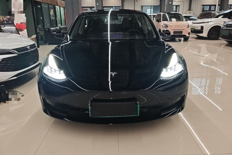 Tesla Model 3 2023 #3 Tesla Model 3 2023 car image #3