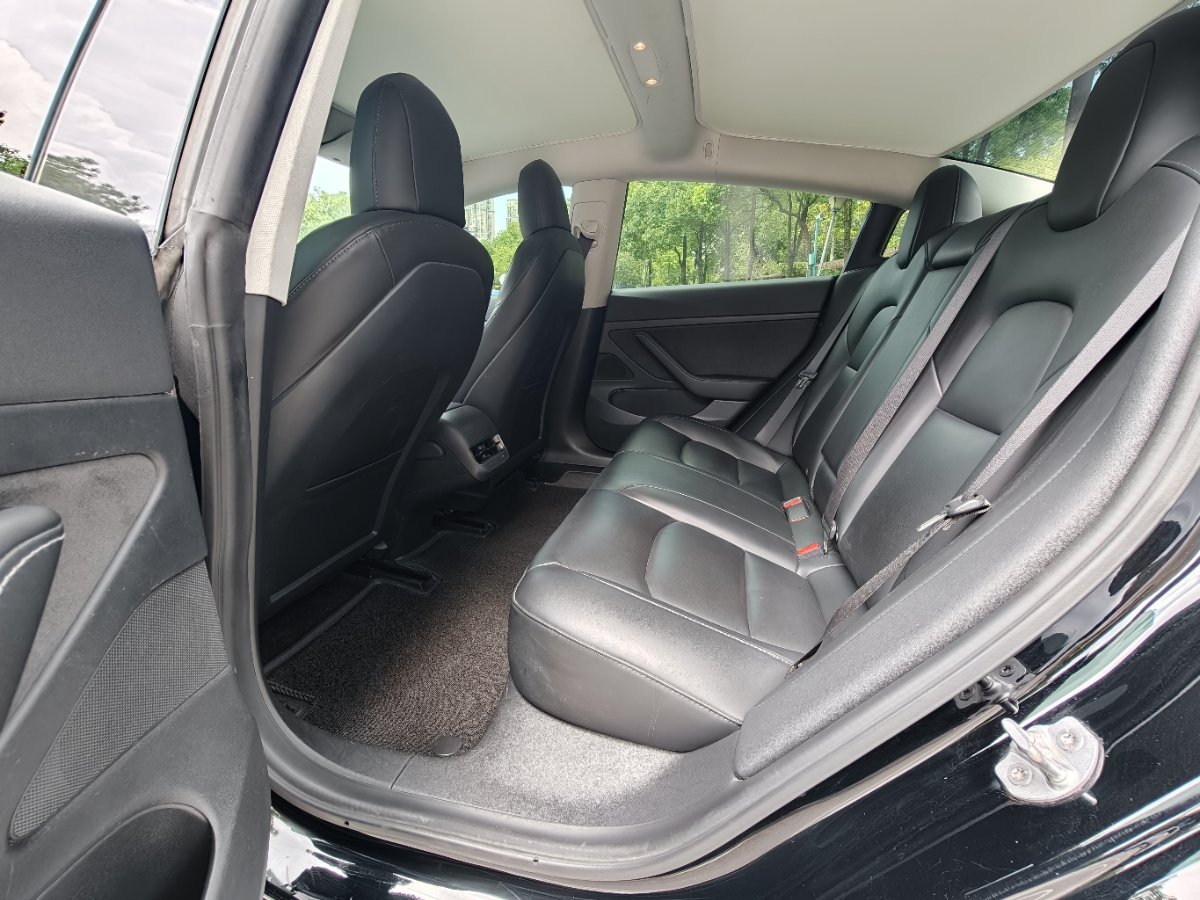 Tesla Model 3 2020 car image #7