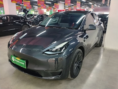 Tesla Model Y 2024 car image 