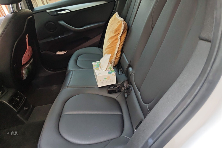 BMW X1 2017 imagen de coche #19