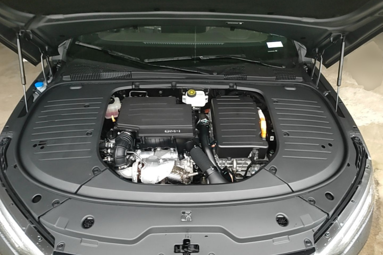 BYD Han 2024 imagen de coche #20