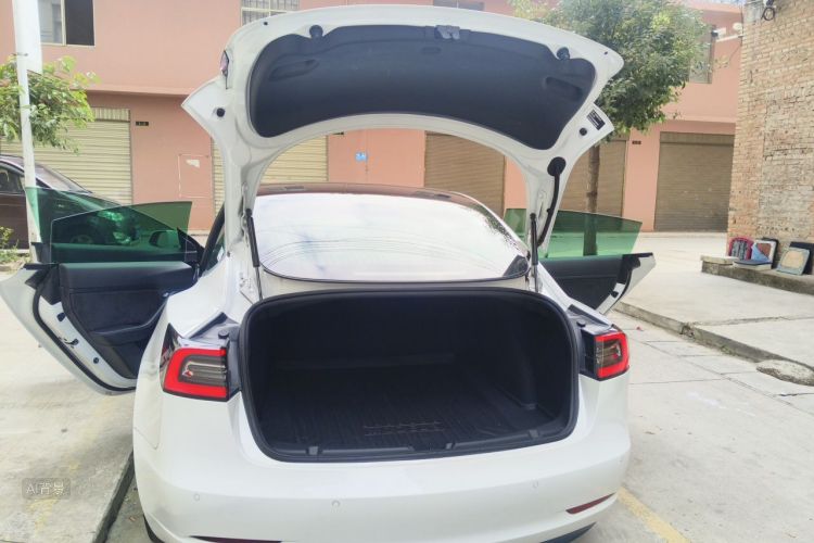 Tesla Model 3 2020 #21 Tesla Model 3 2020 car image #21