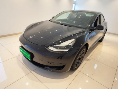 Tesla Model 3 2021 Tesla Model 3 2021 car image