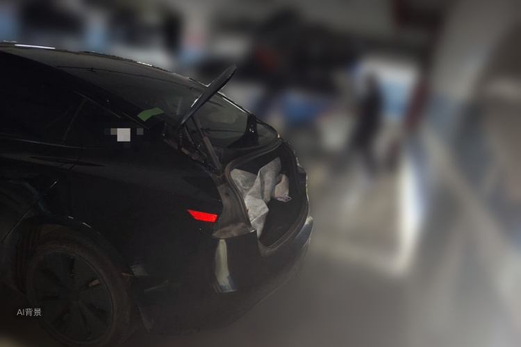 Tesla Model 3 2025 immagine di auto #21