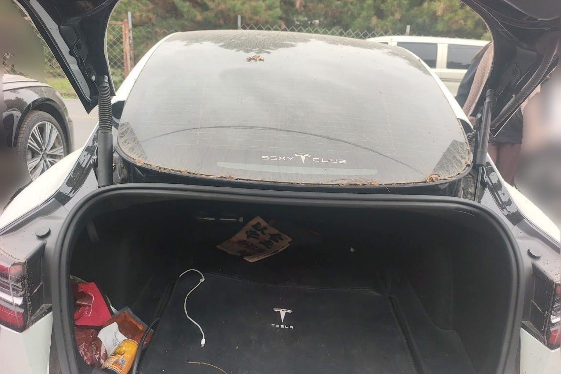 Tesla Model 3 2021 car image #8