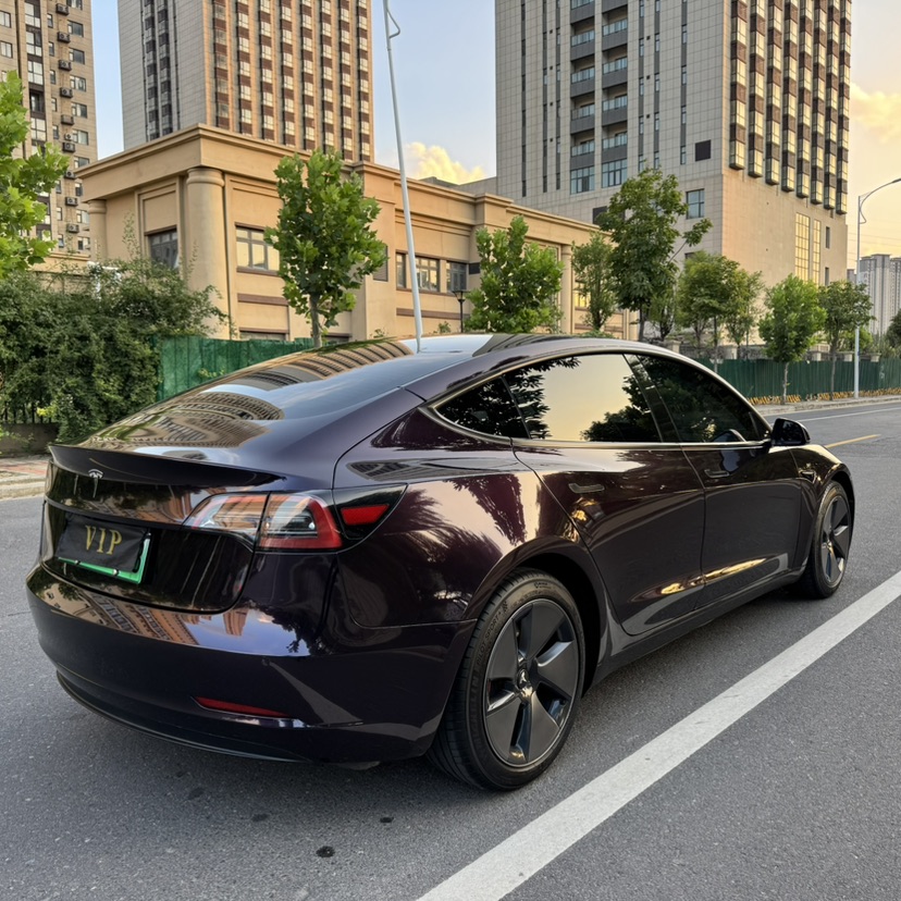 Tesla Model 3 2022 #3 Tesla Model 3 2022 car image #3