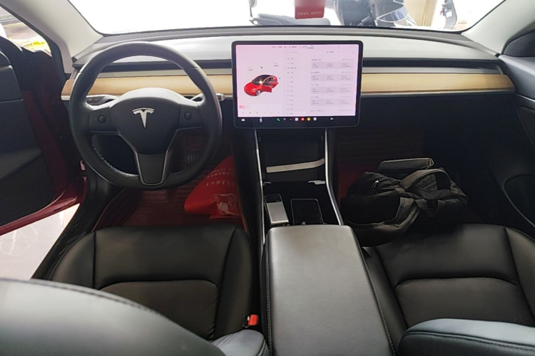 Tesla Model 3 2020 car image #10