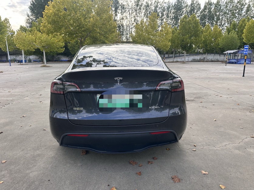 Tesla Model Y 2024 #4 Tesla Model Y 2024 car image #4