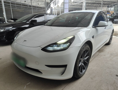 Tesla Model 3 2021 صورة سيارة 