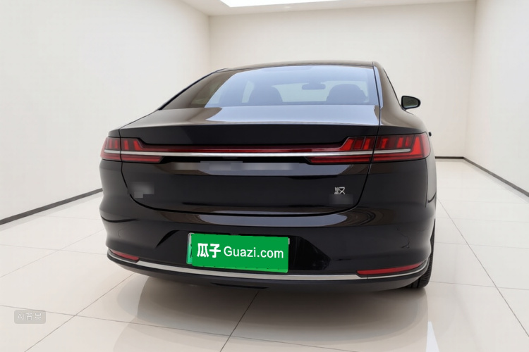 BYD Han 2021 immagine di auto #6