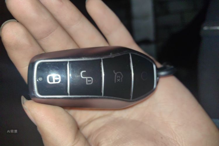BYD Han 2023 #10 BYD Han 2023 imagen de coche #10