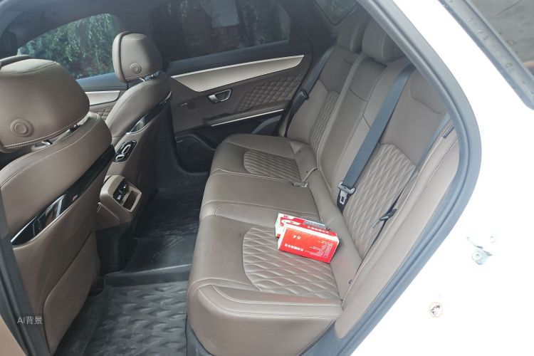 BYD Han 2022 car image #19
