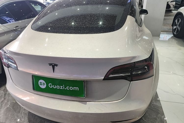 Tesla Model 3 2021 car image #6