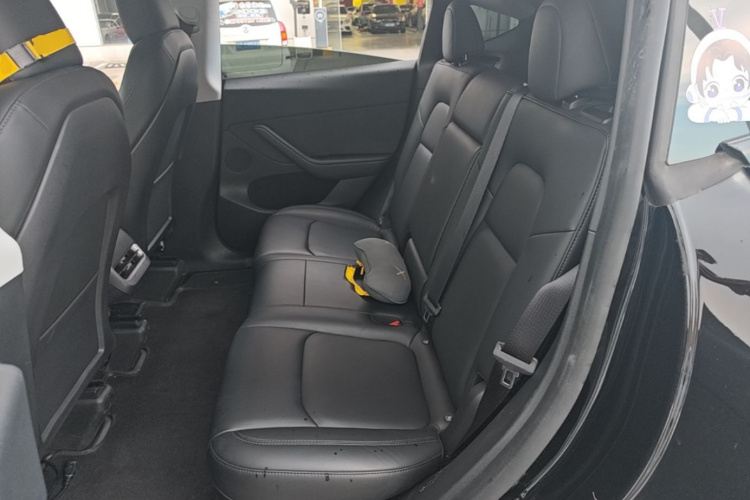 Tesla Model Y 2023 car image #17