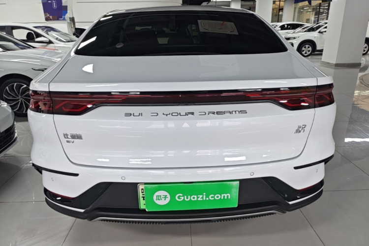 BYD Han 2022 car image #6