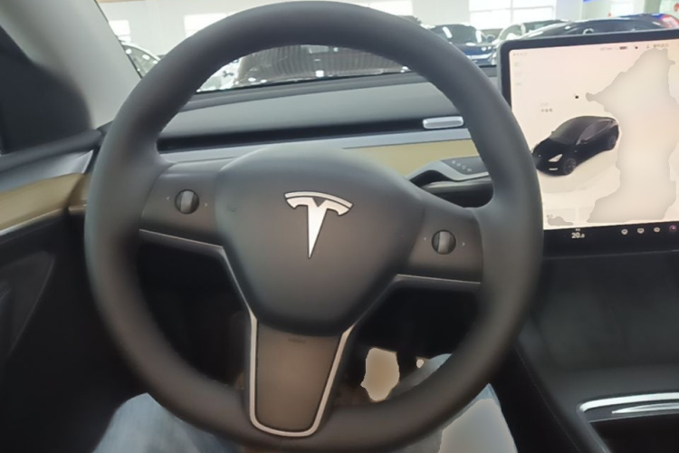 Tesla Model Y 2023 #15 Tesla Model Y 2023 car image #15
