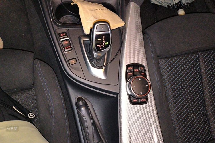 BMW 3 Series 2018 car image #16