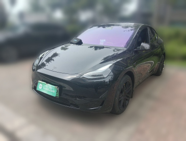 Tesla Model Y 2023 car image 
