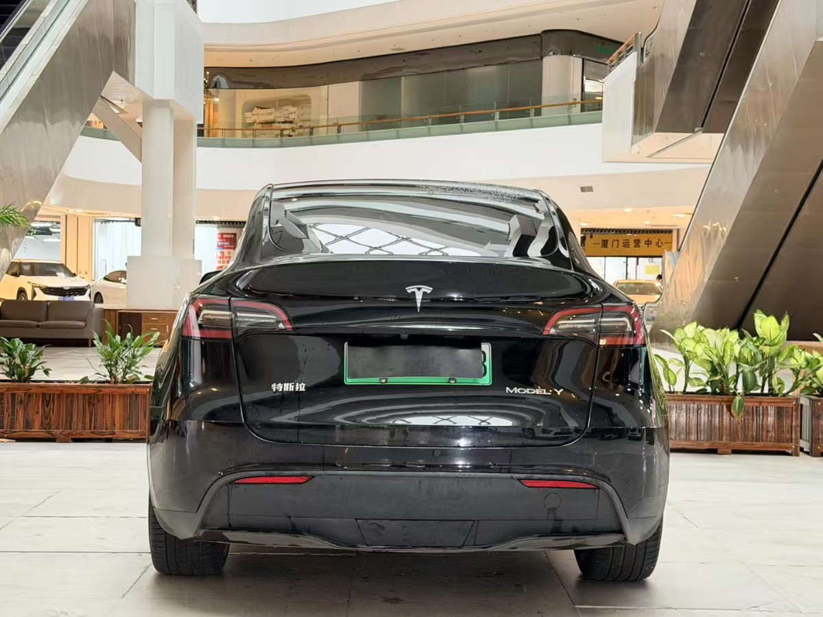 Tesla Model Y 2022 #8 Tesla Model Y 2022 car image #8