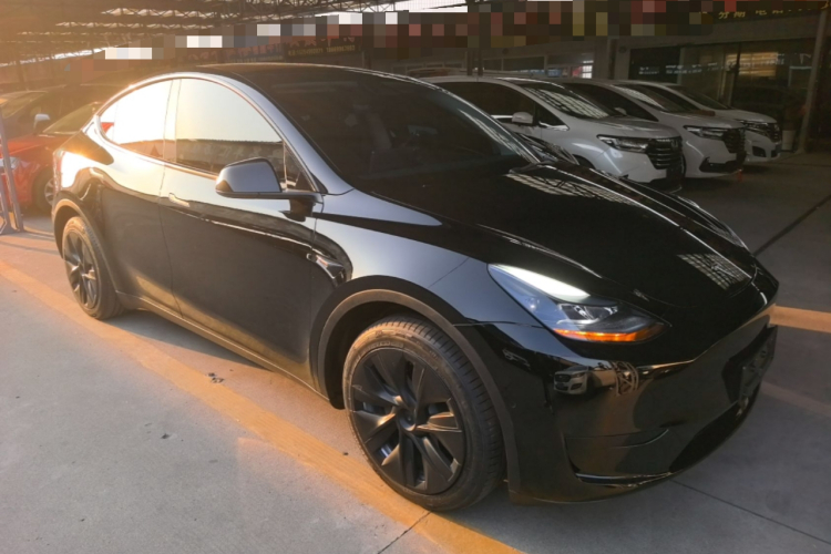 Tesla Model Y 2023 #4 Tesla Model Y 2023 car image #4