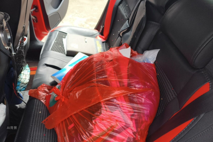 Volkswagen Polo 2016 car image #19