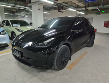 Tesla Model Y 2023 car image 