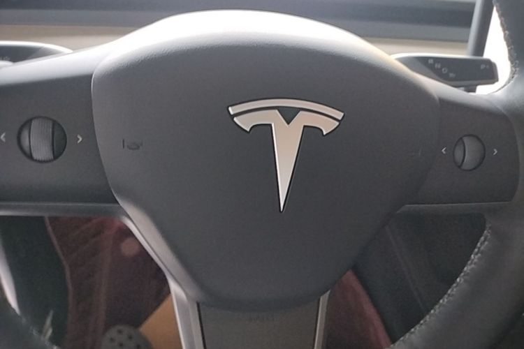Tesla Model Y 2023 #9 Tesla Model Y 2023 car image #9