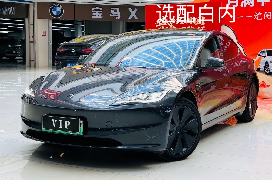 Tesla Model 3 2025 Tesla Model 3 2025 car image