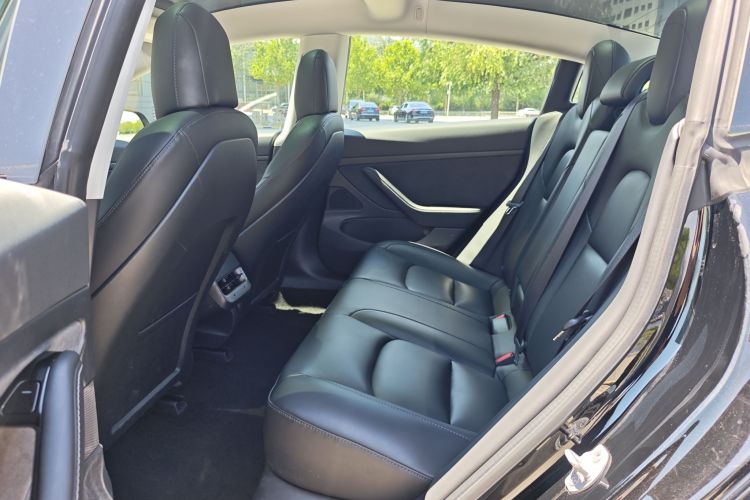 Tesla Model 3 2020 car image #11