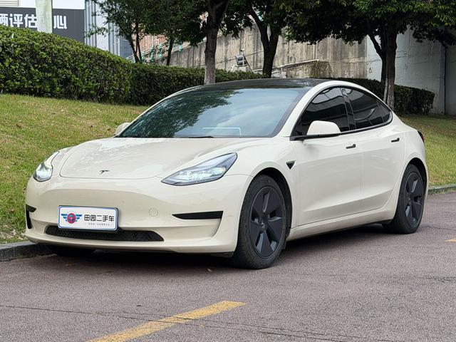 Tesla Model 3 2023 car image #15