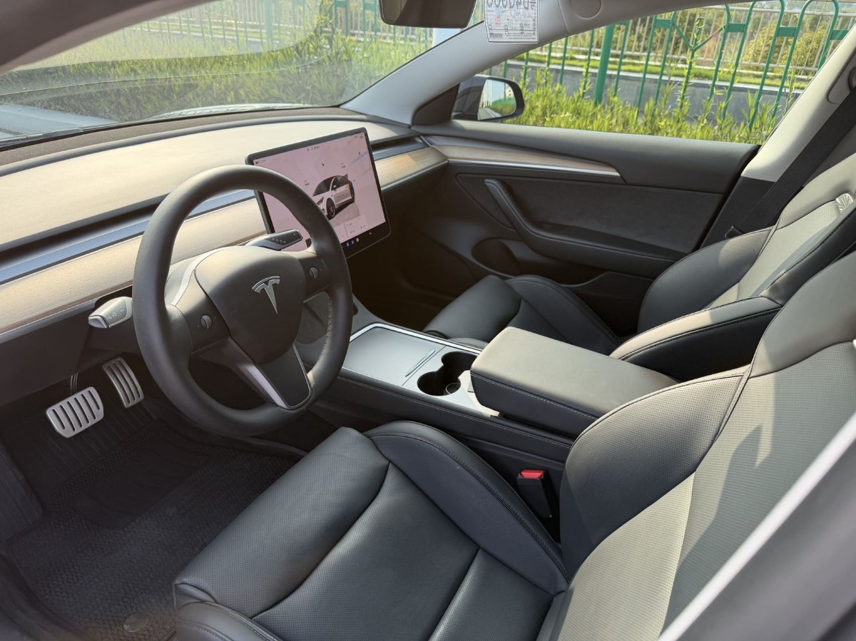 Tesla Model 3 2021 #3 Tesla Model 3 2021 car image #3