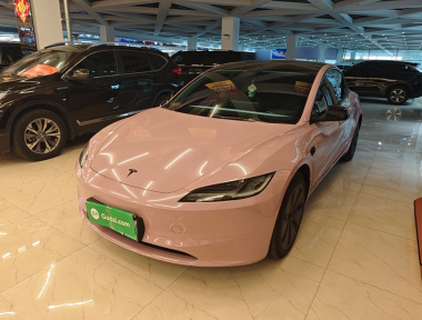 Tesla Model 3 2024 Tesla Model 3 2024 car image